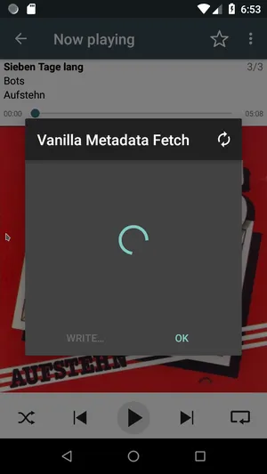 Vanilla Metadata Fetch